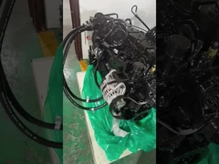 1998 Dodge dla Cummins 12 24 zawór 5,9 Cummins zestaw odbudowy silnika